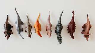 Extremely rare evidence of dinosaurs consuming mammals spotted