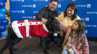 Dog abandoned at San Francisco airport, pilot hooman provides a forever home