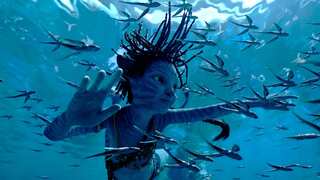 Did you know James Cameron's 'Avatar' films are subconsciously linked to India?