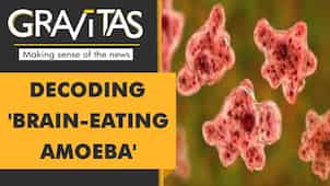 Gravitas: South Korea reports first 'brain-eating amoeba' death