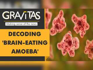 Gravitas: South Korea reports first 'brain-eating amoeba' death