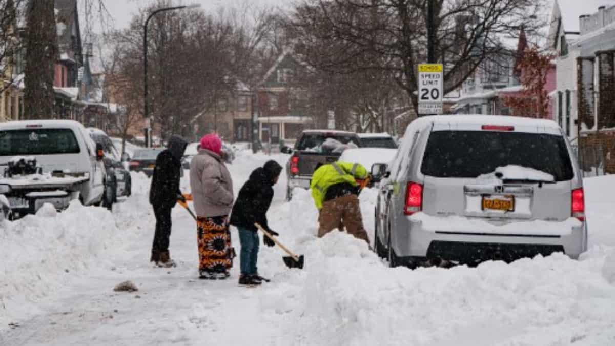 Extreme weather events becoming the 'new normal', UK conservation group warns Extreme weather events becoming the 'new normal', UK conservation group warns