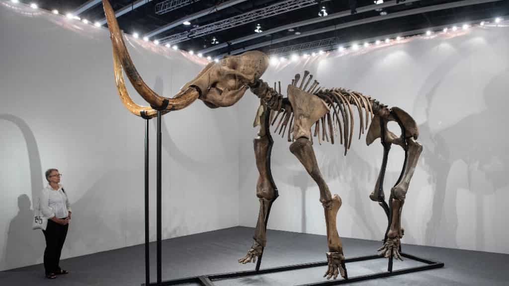 Russian researchers attempt to 're-awaken' ancient viruses that killed giant woolly mammoths