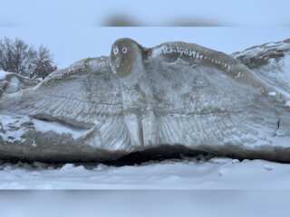 Watch: Winter storm leaves behind unique ice sculptures in Canada