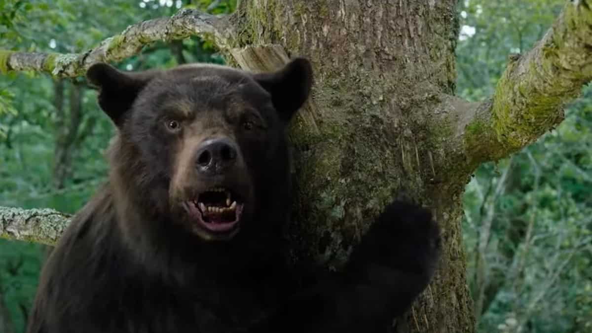 Cocaine Bear: February 24