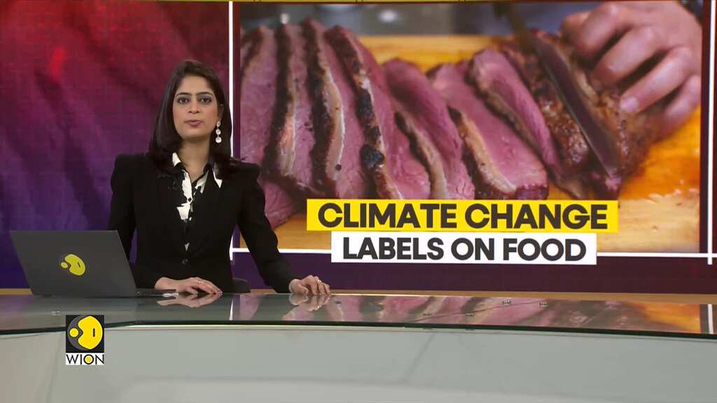 WION Climate Tracker | Study: Climate impact labels could help people eat less red meat