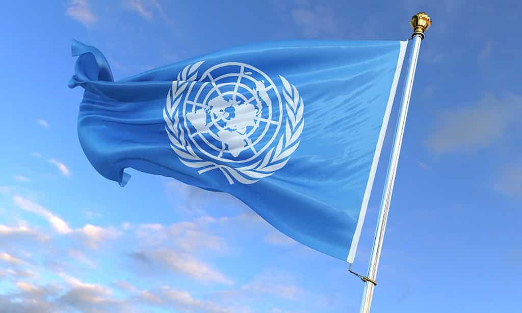 UN suspends some Afghanistan programs after ban on female aid workers