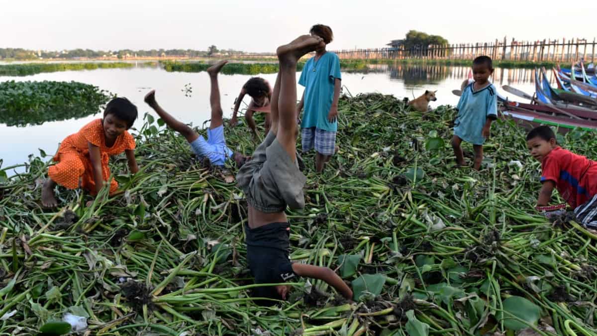 Myanmar Junta killed 165 children in 2022, claims exiled opposition Myanmar Junta killed 165 children in 2022, claims exiled opposition