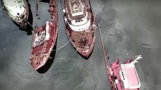Brazil: The ‘graveyard of ships’ in Rio may cause environmental disaster, says NGO