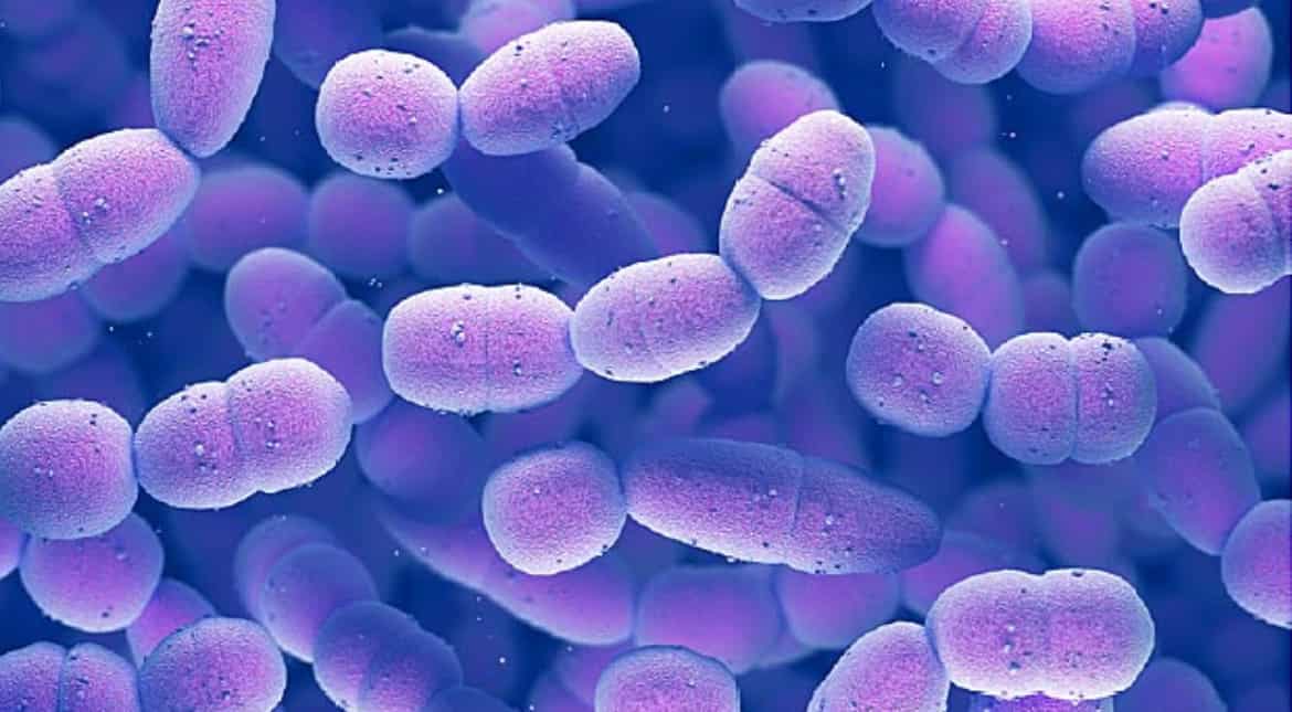 Strep A infection has killed around 30 children in the UK since mid-September: UKHSA