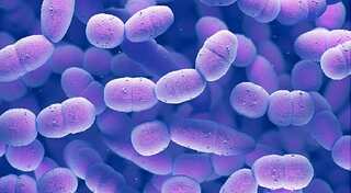 Strep A infection has killed around 30 children in the UK since mid-September: UKHSA