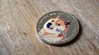 Kabosu, the dog that inspired 'doge' meme and Dogecoin, makes speedy recovery, says owner