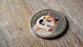 Kabosu, the dog that inspired 'doge' meme and Dogecoin, makes speedy recovery, says owner