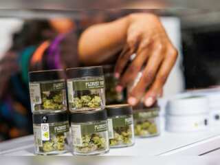 New York: Cannabis dispensary opens its doors at 4:20 pm for adults over 21