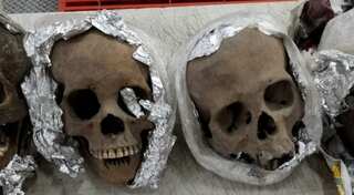 Four human skulls found inside package bound for US at Mexican airport