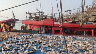 Another Russian found dead on a ship in India, third incident in a fortnight