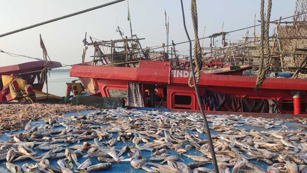 Another Russian found dead on a ship in India, third incident in a fortnight