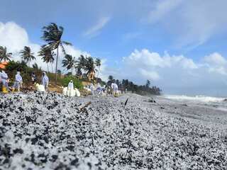 WION Climate Tracker: Nurdles or the tiny plastic pellets choking oceans