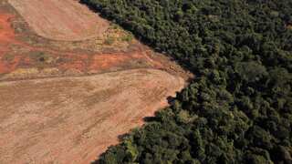 Norway announces it will once again back 'globally significant' fund to save Amazon forest
