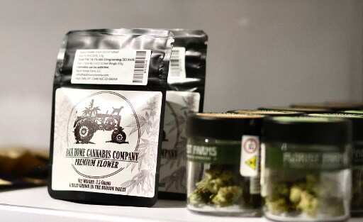 Accidental consumption of cannabis among US kids under 6 saw a whopping increase in last 5 years