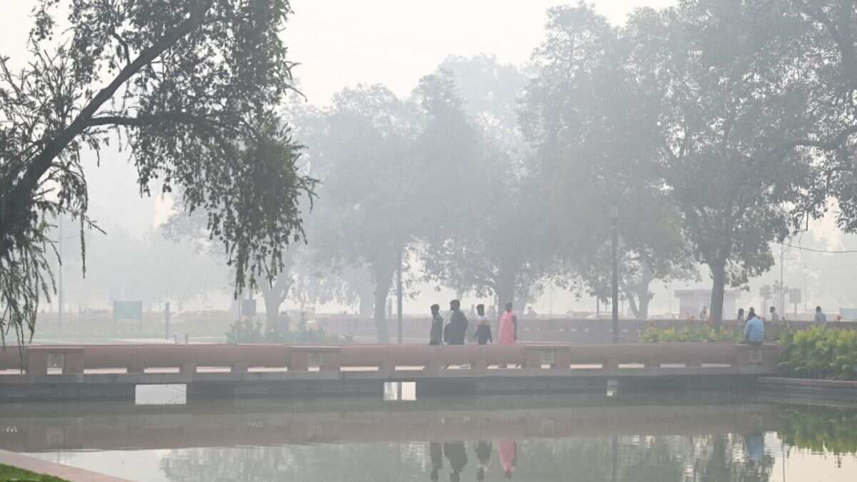 Winter fog in Indian capital a toxic cocktail of pollutants: Govt study Winter fog in Indian capital a toxic cocktail of pollutants: Govt study
