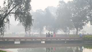 Winter fog in Indian capital a toxic cocktail of pollutants: Govt study