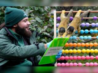 WION Climate Tracker: London Zoo begins its annual headcount of animals