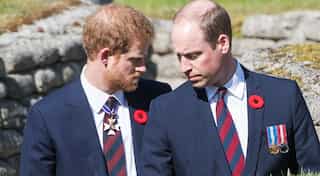Harry And William's dispute pre-dates Meghan Markle's arrival in family, claim insiders