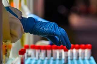 Germany makes negative pre-departure Covid test report must for travellers from China