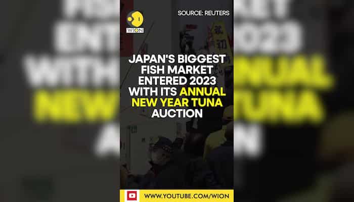 Japan tuna price soars past ₹ 2 crore at New Year auction