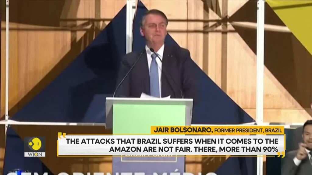 WION Wideangle | Can lula save the Amazon?