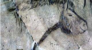 Furniture conservator solves mystery of 20,000-year-old Ice Age drawings