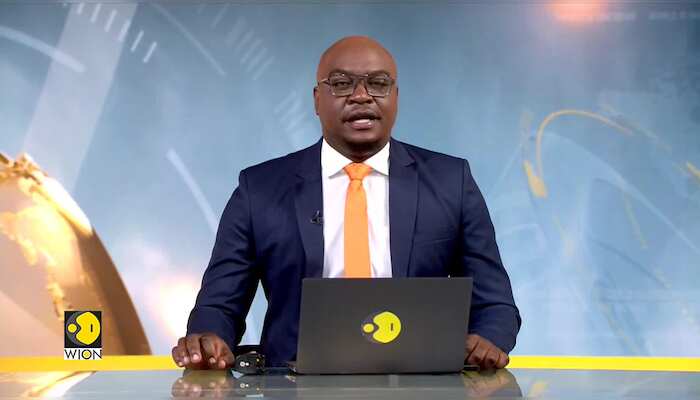 Dense fog, cold waves take over North India, IMD issues warnings