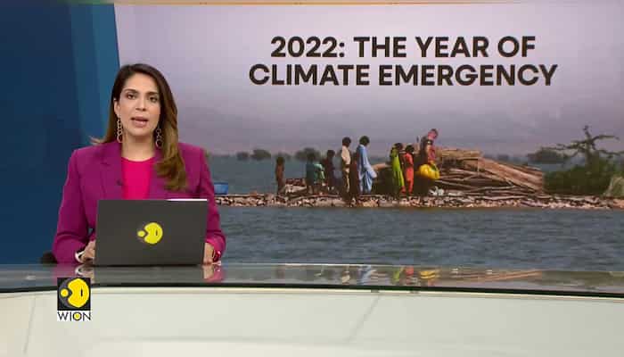 WION Climate Tracker: UN and Pakistan co-host conference to raise funds
