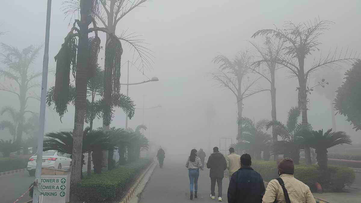 Winter Vacation Extended: Private schools in Delhi to be closed till THIS date due to extreme cold & dense fog