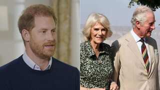 Prince Harry calls Camilla 'dangerous', 'villain'; accuses her of leaking private chats in new interview