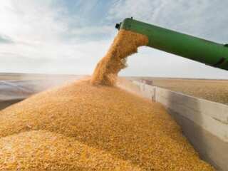 Balochistan runs out of wheat, sends SOS