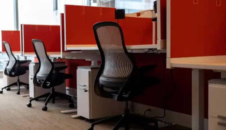 Trending on WION: Be ready to pay a hefty fine if you disturb your colleague on a holiday