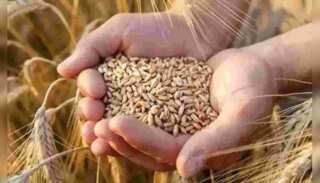 WION Climate Tracker: Pakistan's Balochintan runs out of wheat