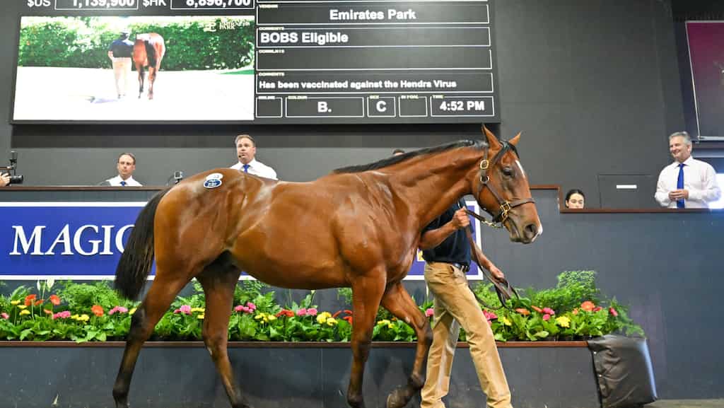 Magic Millions 2023 Draw Result: Live Streaming & TV Broadcast, Prize Money, Yearling Online Sales and Venue