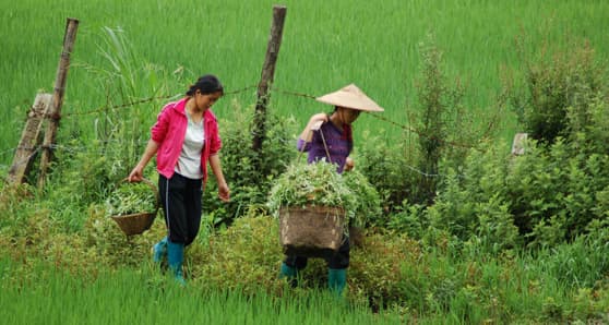 Women work harder, put in more effort than men: Study Women work harder, put in more effort than men: Study