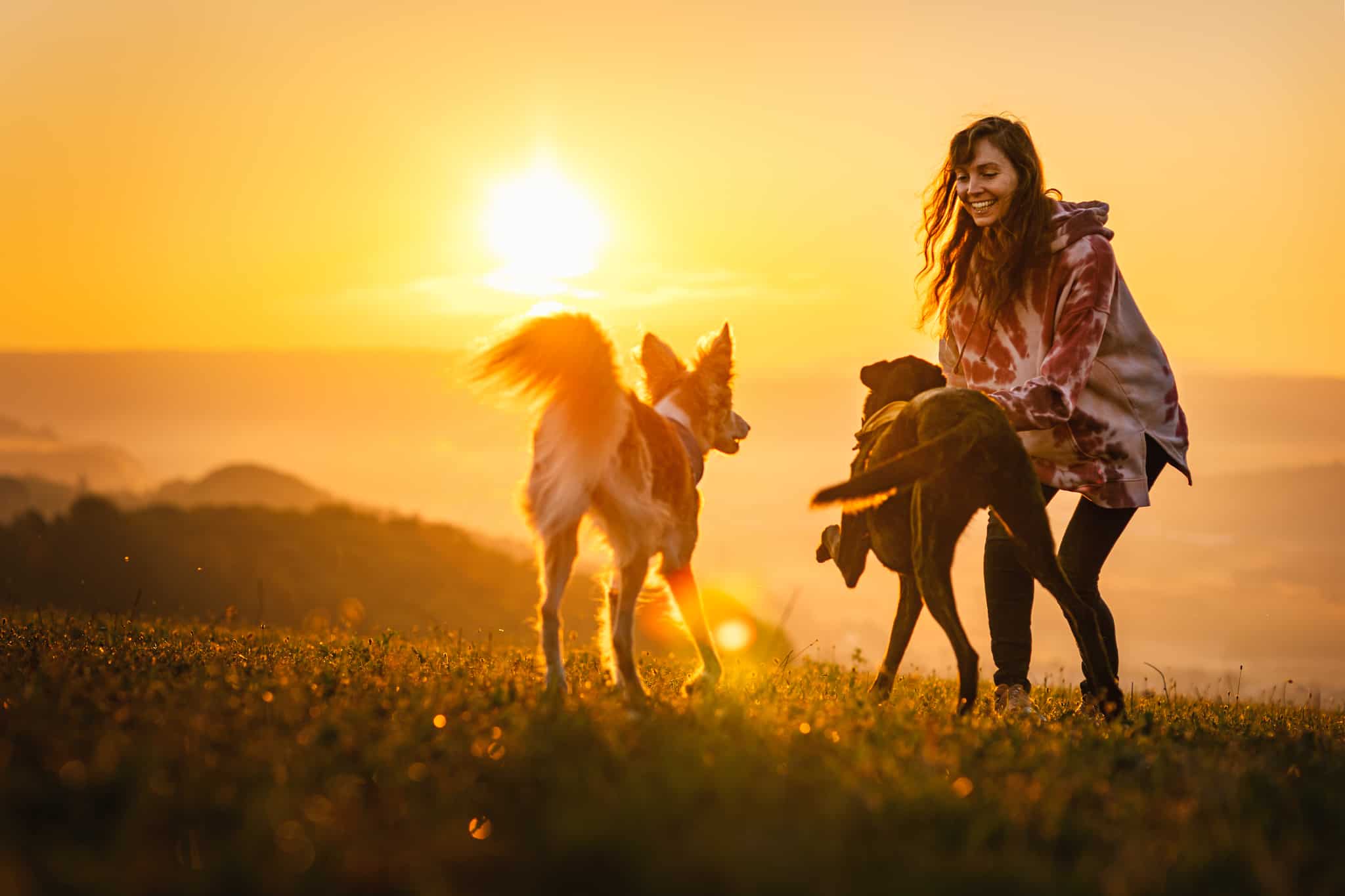 Sarah Ebner's 'Of dogs and people'