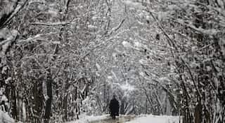 Fresh snowfall in Kashmir disrupts traffic on national highway, affects flights' schedule