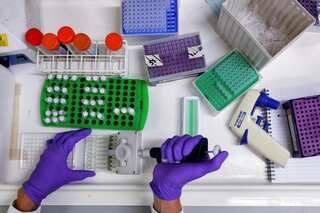 Explained: How did US cancer rates drop by 33% since 1991?