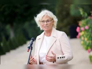 German Defence minister to step down ?