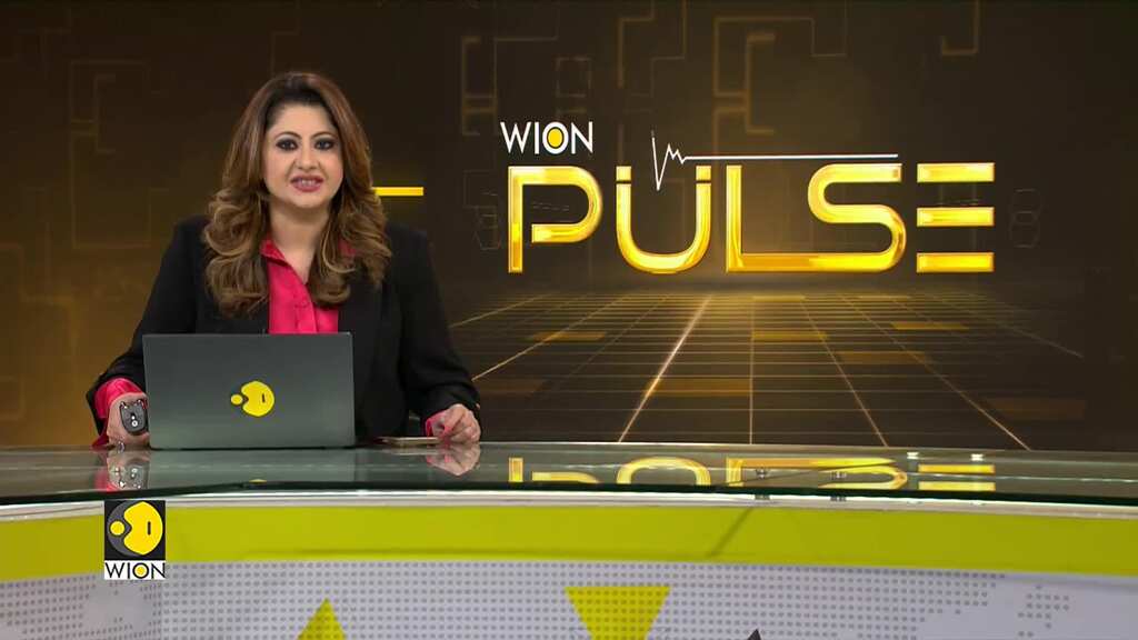 WION Exclusive: Egypt's ambassador to India Wael Hamed speaks to WION