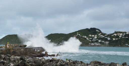 New Zealand's southern waters witnessing marine heatwave, say scientists