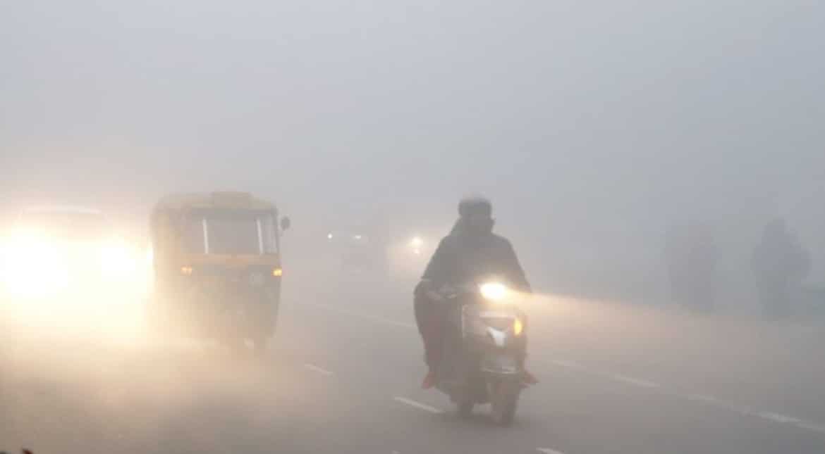 Delhi wakes up to severe chill as temperature drops to 1.4 degrees Celsius