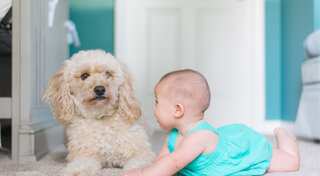 Altruism of humans towards species may have helped them thrive, suggests study