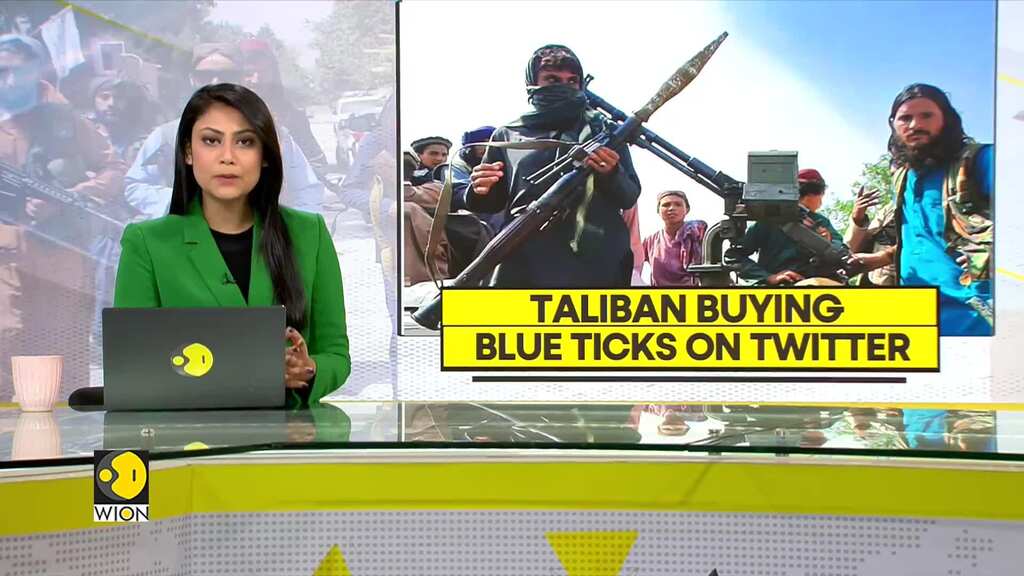 WION Fineprint: Taliban officials begin buying blue ticks on Elon Musk's Twitter